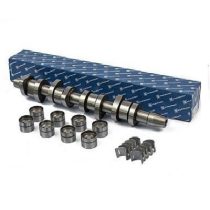 Vezérműtengely készlet (kivéve DPF) - Kolbenschmidt 